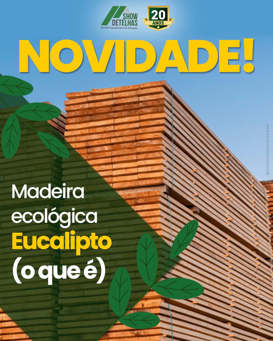 Novidade: madeira ecológica de Eucalipto
