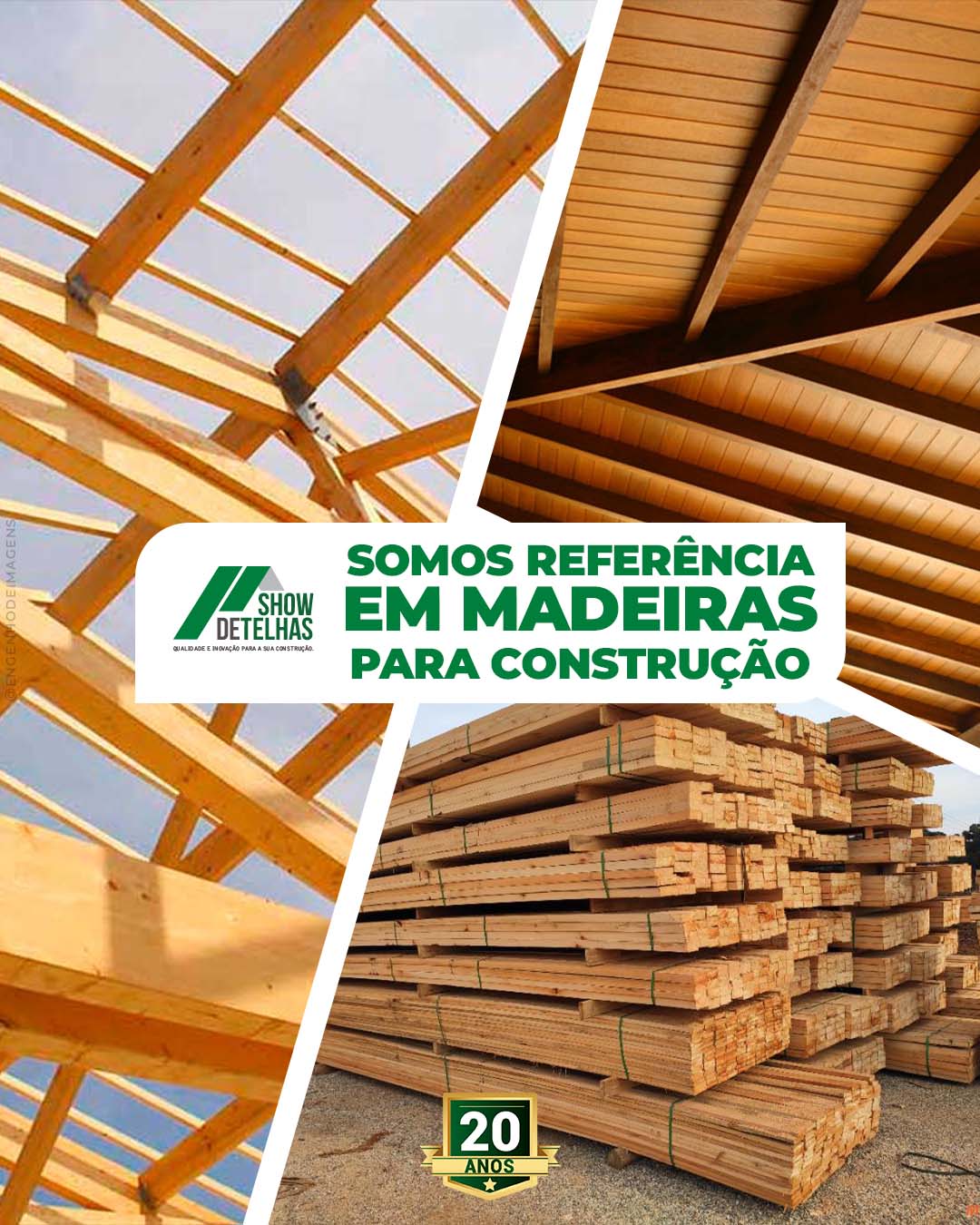 Fundamentando ideais com qualidade e inovação: explore nossas madeiras premium!