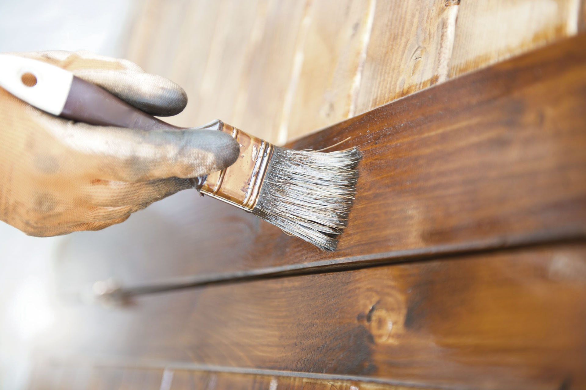 Pentox. Como ele pode ser útil na minha reforma?